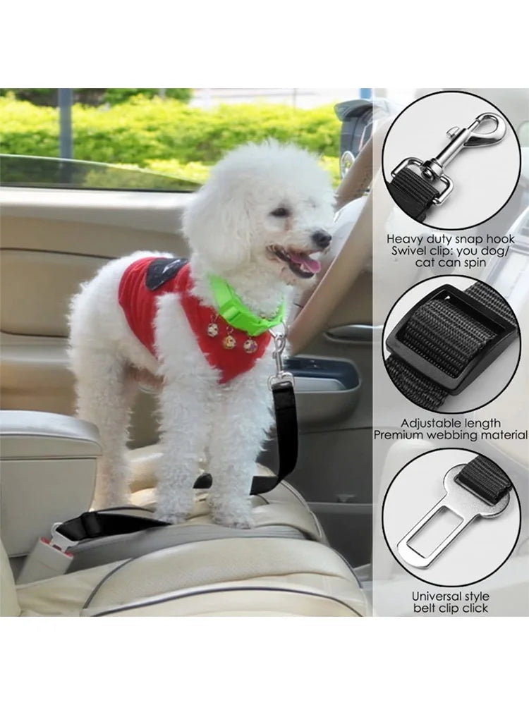 Pet Dog Safety Rope