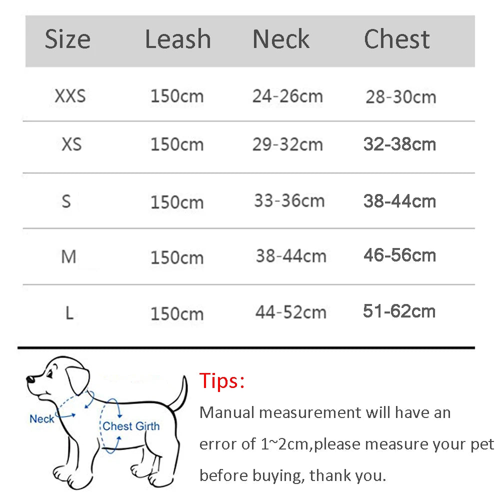 Dog Harness Leash Set