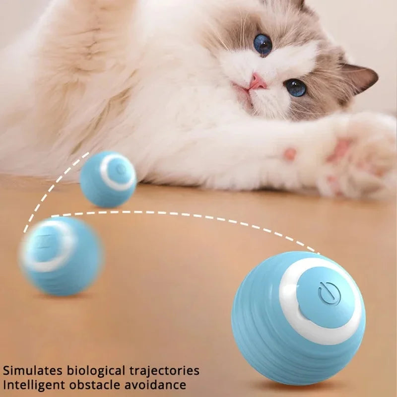 Interactive Cat Toy Ball Roll