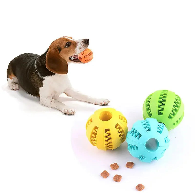 Dog Toy Ball