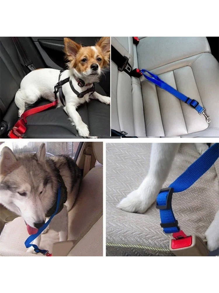 Pet Dog Safety Rope