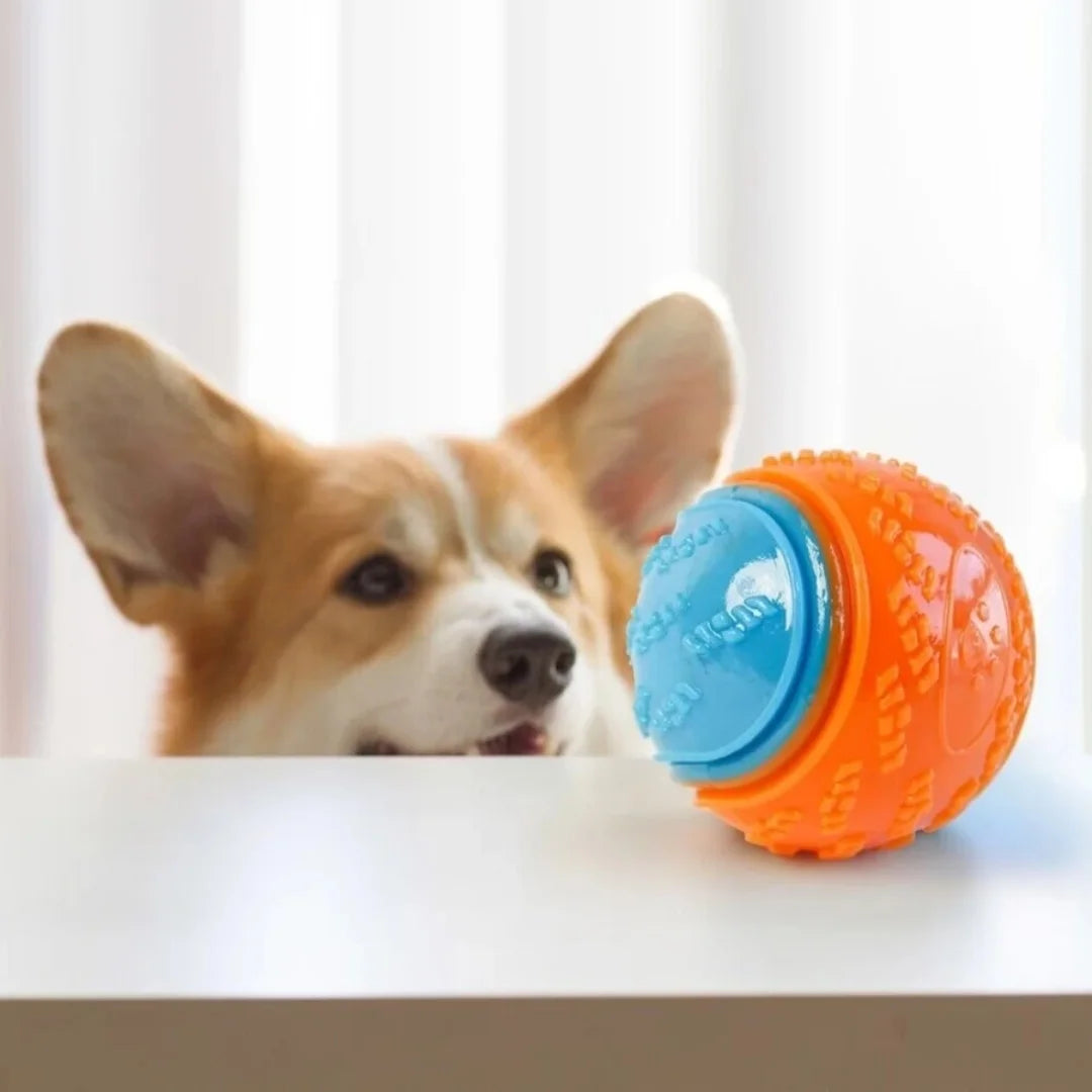 Bite-resistant Pet Dog Toy Rubber Ball