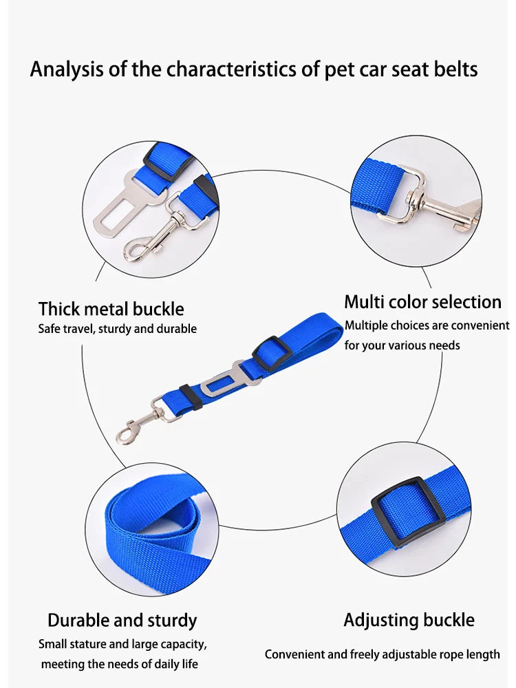 Pet Dog Safety Rope